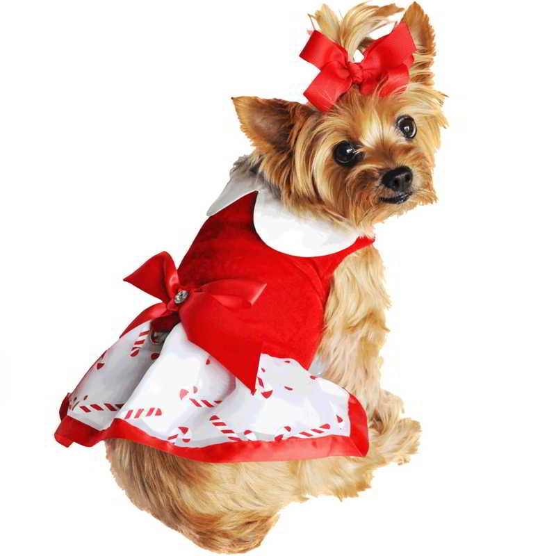 xs dog christmas dress