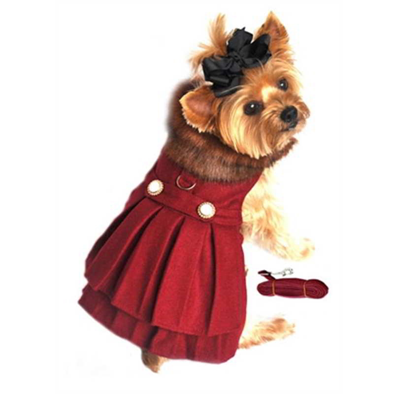 burgundy dog dress