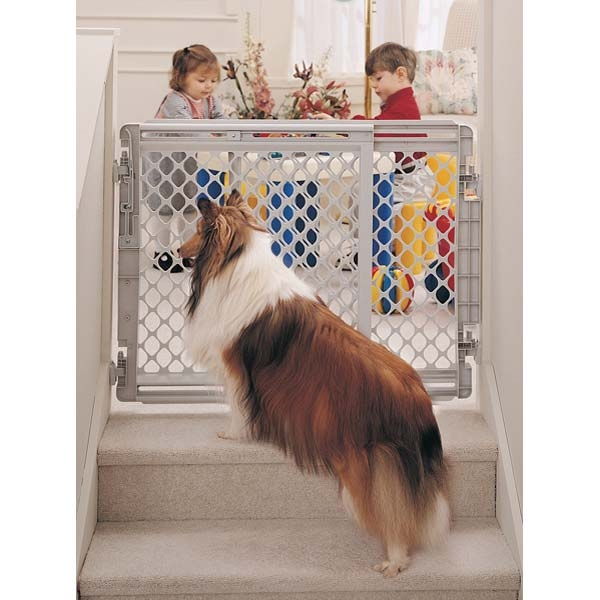 Walk Thru Pet Gate 26 Tall X 26 41 Wide Dog Gates