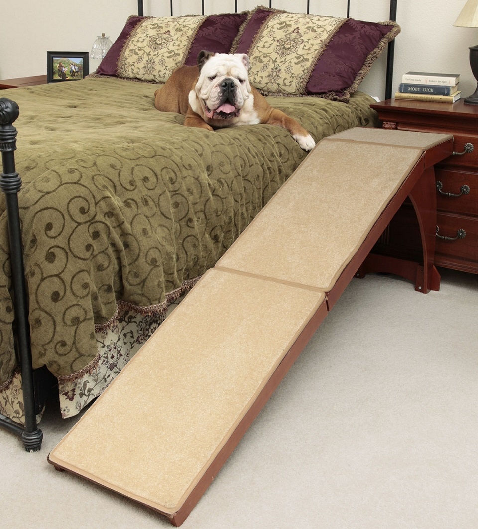 Pet ramps for clearance bed