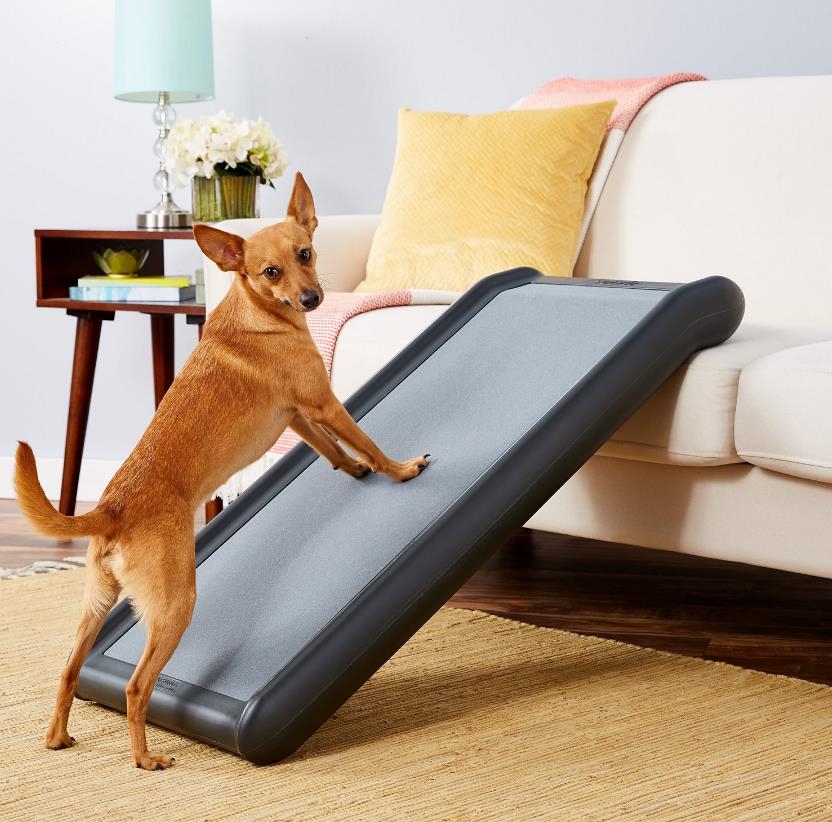 Solvit Dog Ramp - Half Ramp II For Dogs