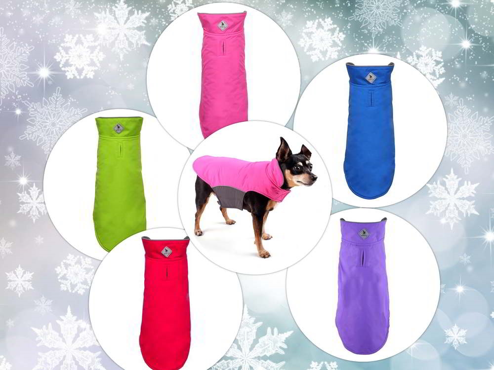 Dog jackets hot sale near me